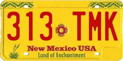 NM license plate 313TMK