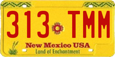 NM license plate 313TMM