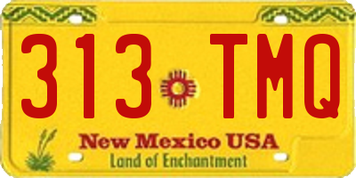 NM license plate 313TMQ