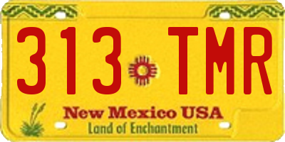 NM license plate 313TMR