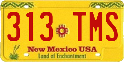 NM license plate 313TMS