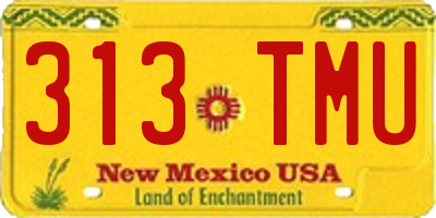 NM license plate 313TMU