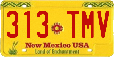 NM license plate 313TMV