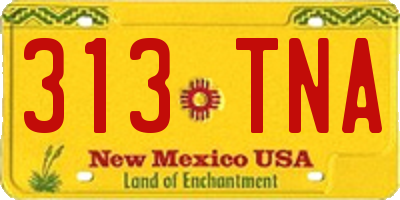 NM license plate 313TNA