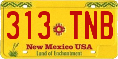 NM license plate 313TNB