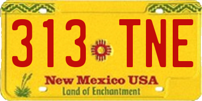 NM license plate 313TNE
