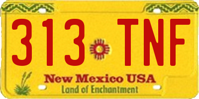 NM license plate 313TNF