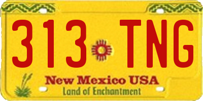 NM license plate 313TNG