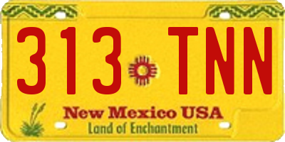 NM license plate 313TNN