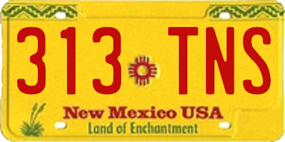 NM license plate 313TNS