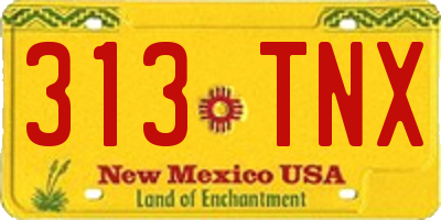 NM license plate 313TNX