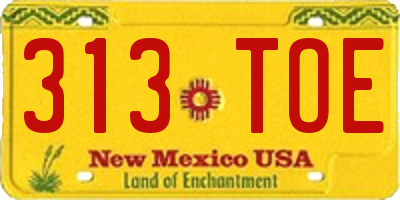 NM license plate 313TOE