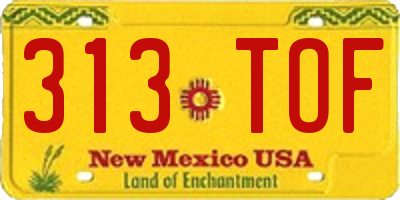 NM license plate 313TOF