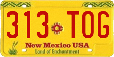 NM license plate 313TOG