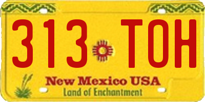 NM license plate 313TOH