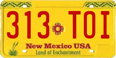 NM license plate 313TOI