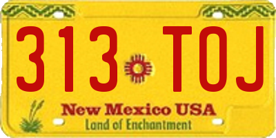NM license plate 313TOJ