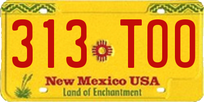 NM license plate 313TOO