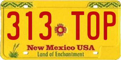 NM license plate 313TOP