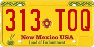 NM license plate 313TOQ