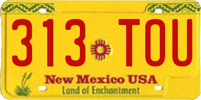 NM license plate 313TOU