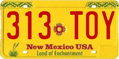 NM license plate 313TOY