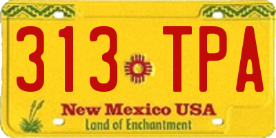 NM license plate 313TPA