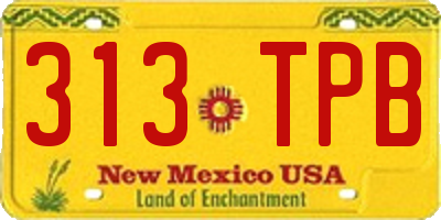 NM license plate 313TPB