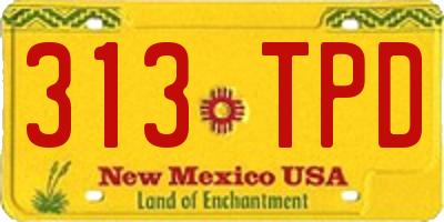 NM license plate 313TPD