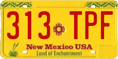 NM license plate 313TPF