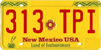 NM license plate 313TPI