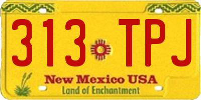 NM license plate 313TPJ