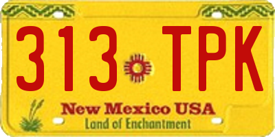 NM license plate 313TPK