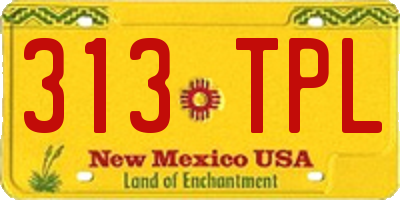 NM license plate 313TPL