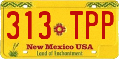 NM license plate 313TPP