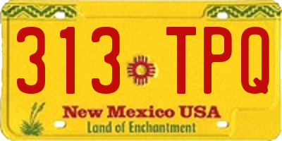 NM license plate 313TPQ