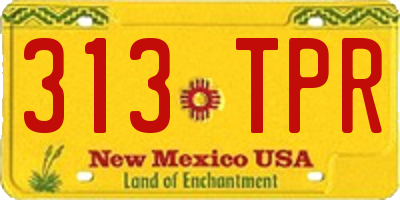 NM license plate 313TPR