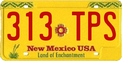 NM license plate 313TPS