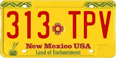 NM license plate 313TPV