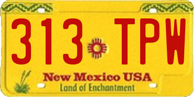 NM license plate 313TPW