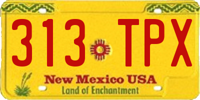 NM license plate 313TPX