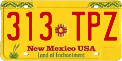 NM license plate 313TPZ
