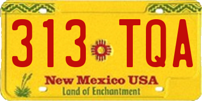 NM license plate 313TQA