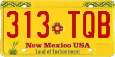 NM license plate 313TQB