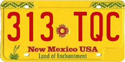 NM license plate 313TQC