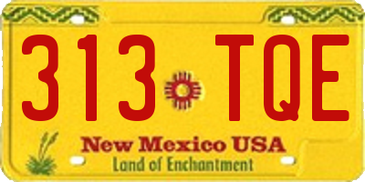 NM license plate 313TQE