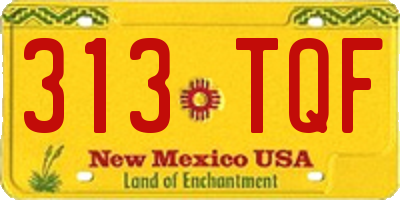 NM license plate 313TQF