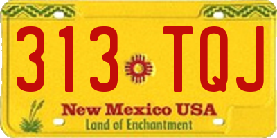 NM license plate 313TQJ