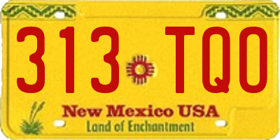 NM license plate 313TQO