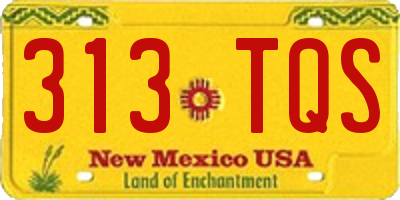 NM license plate 313TQS
